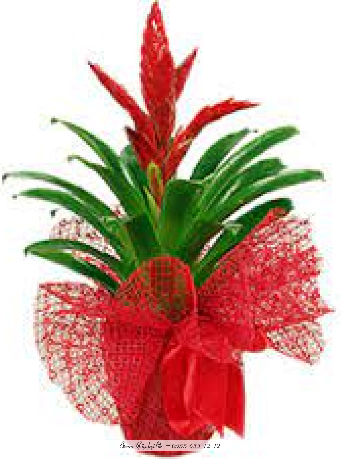 Kirmizi Frezya Çi̇çeği̇