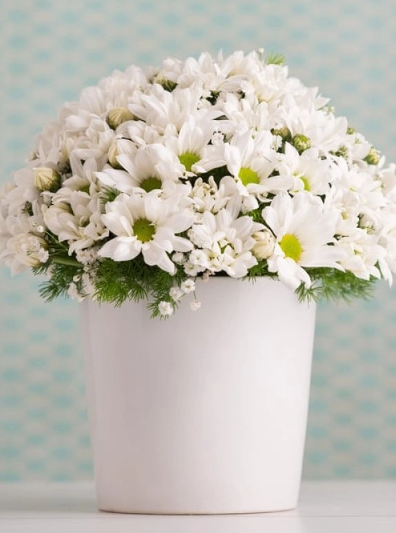 Beyaz Papatya Aranjmanı